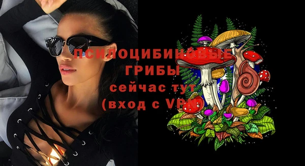 каннабис Арсеньев