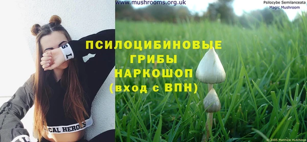 jwh Аркадак