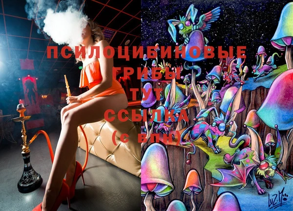 jwh Аркадак