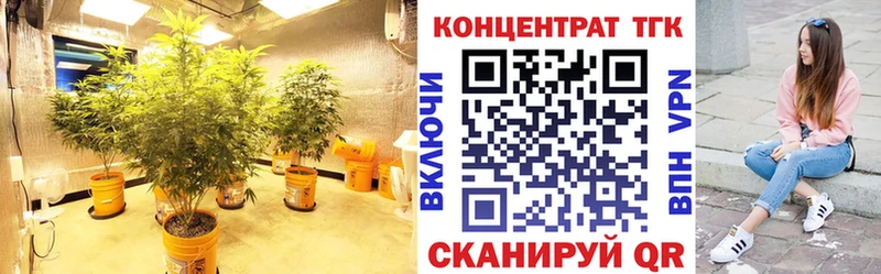 Дистиллят ТГК Wax  Иннополис 