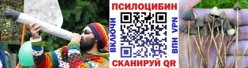 Псилоцибиновые грибы Psilocybine cubensis мега ССЫЛКА Иннополис